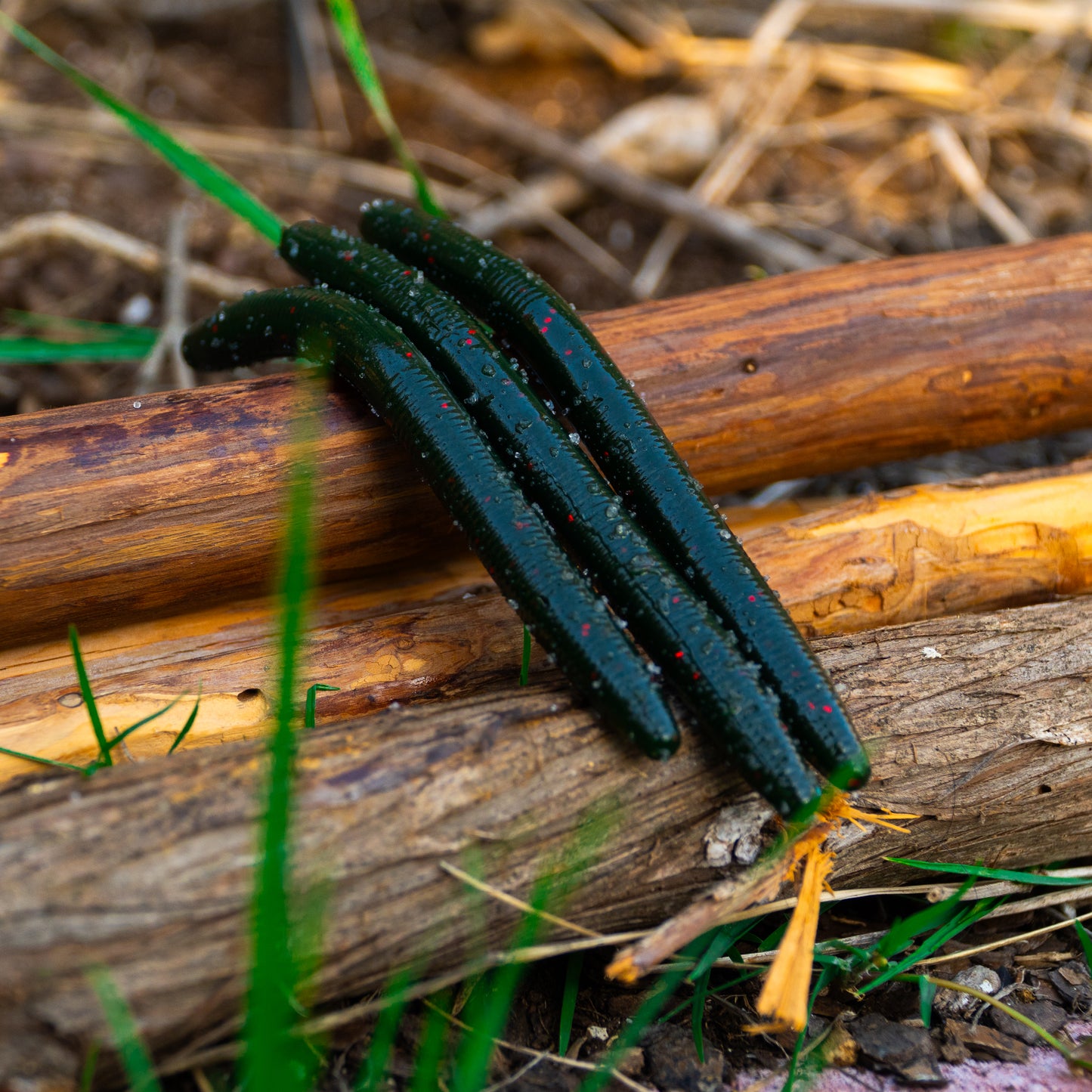 5 inch Wacky Worm